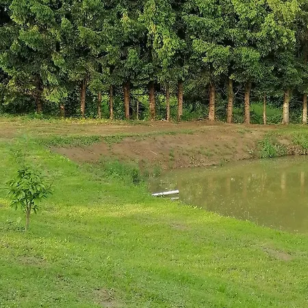 Schlaffass Und Hütte Mit Teich *