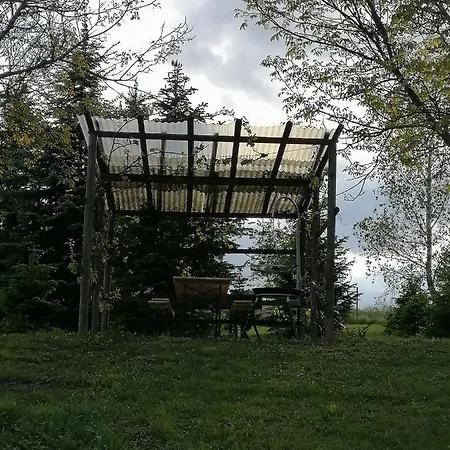Schlaffass Und Hütte Mit Teich